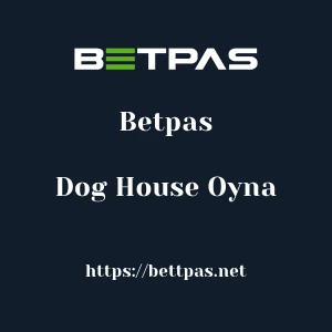 Betpas Dog House Oyna